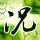 酸辣莱汤的做法大全